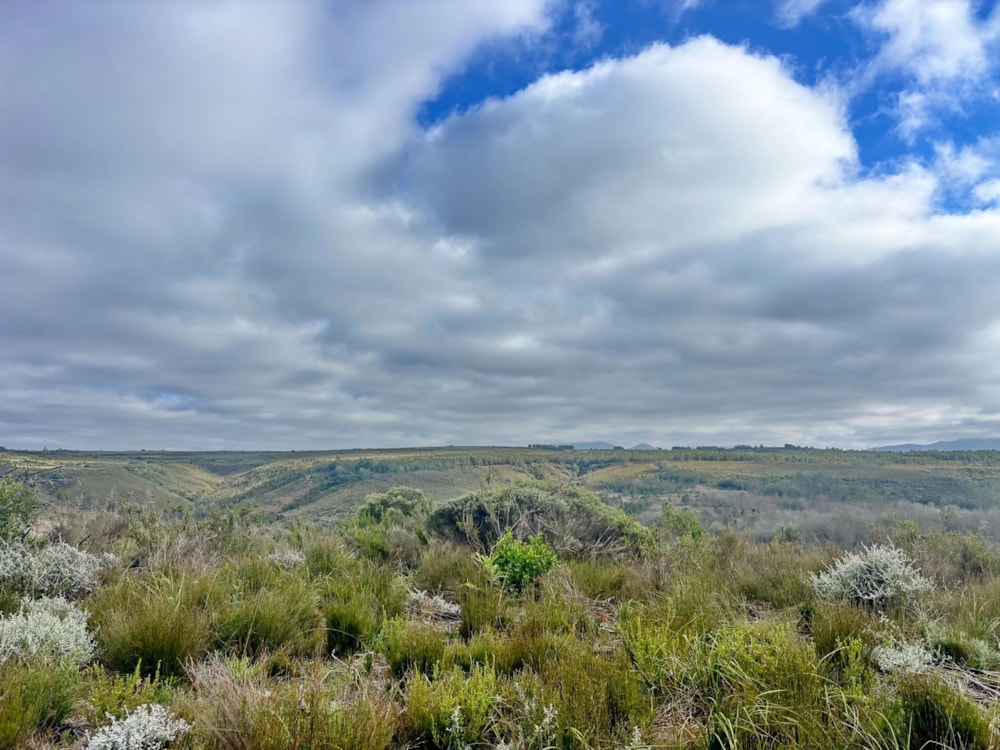 Residential vacant land for sale in Gondwana Game Reserve - 1MB1749972 Residential vacant land for sale in Gondwana Game Reserve - 1MB1749972