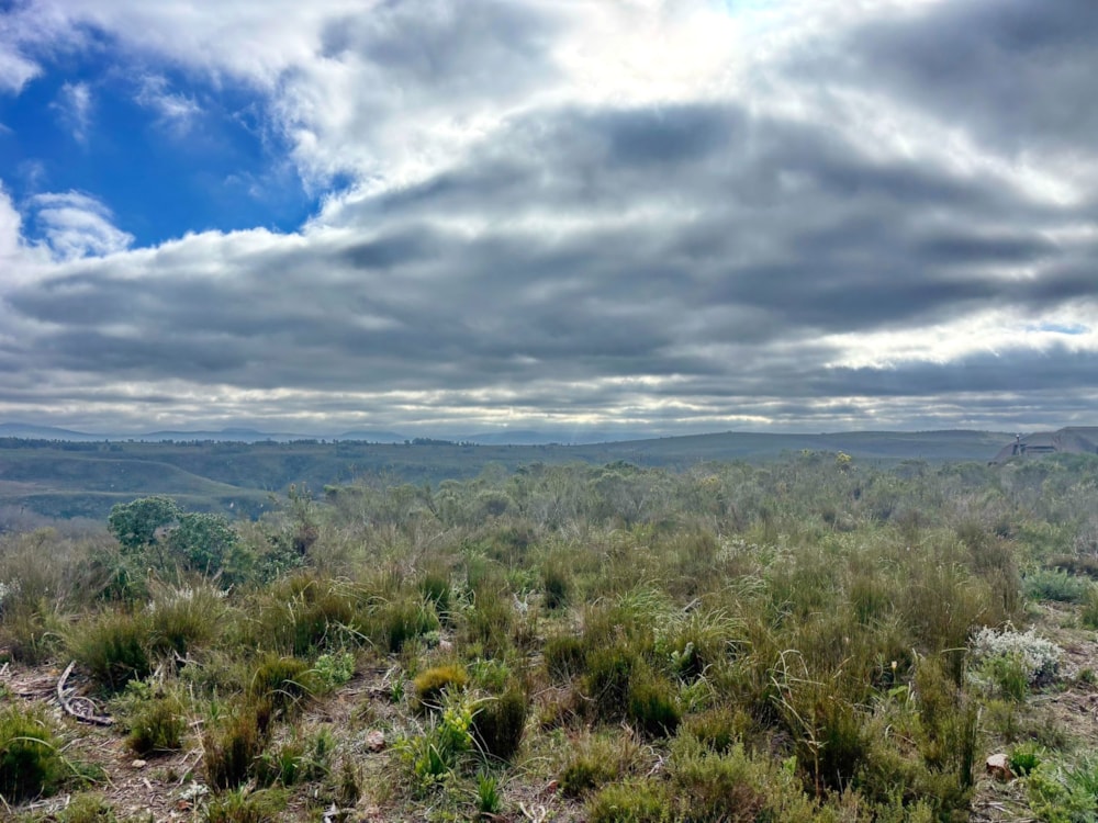 Residential vacant land for sale in Gondwana Game Reserve - 1MB1749972 Residential vacant land for sale in Gondwana Game Reserve - 1MB1749972