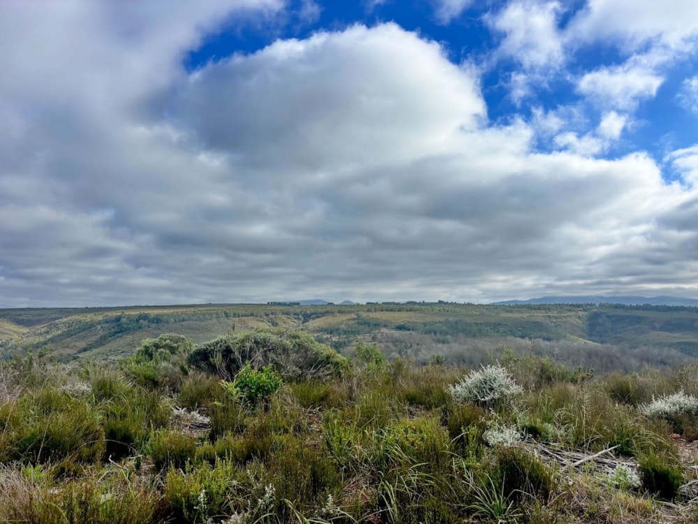 Residential vacant land for sale in Gondwana Game Reserve - 1MB1749972 Residential vacant land for sale in Gondwana Game Reserve - 1MB1749972