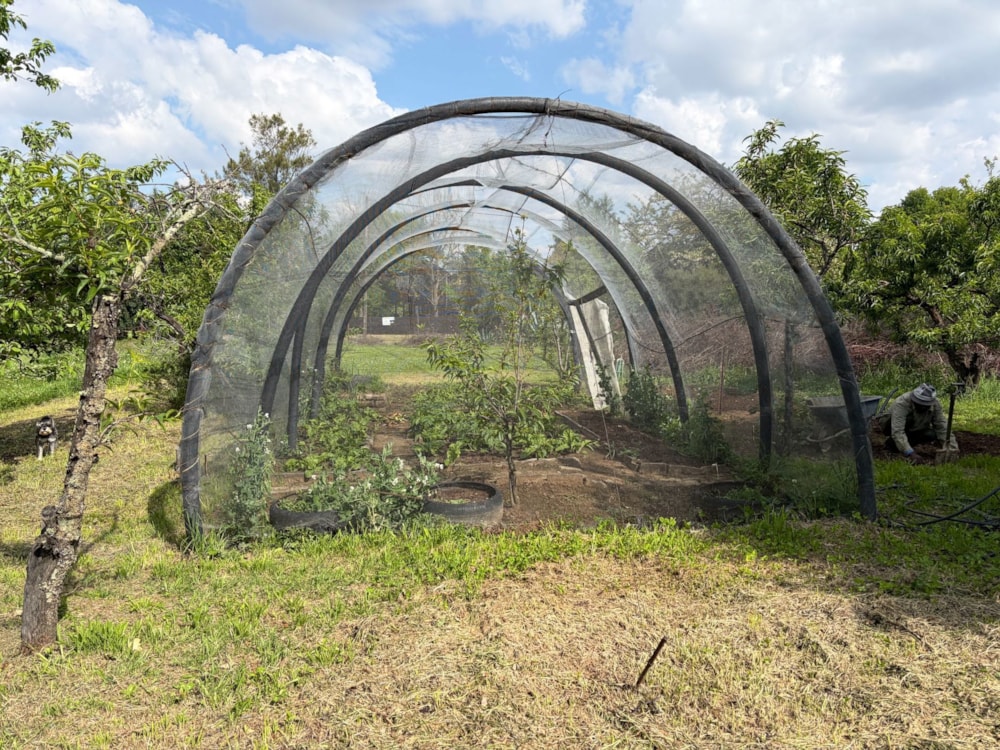 Residential vacant land for sale in Fouriesburg - 1CS1753706