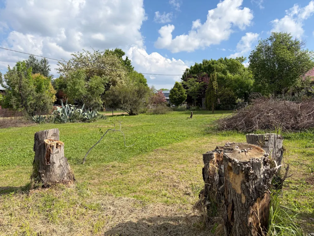 Residential vacant land for sale in Fouriesburg - 1CS1753706 Residential vacant land for sale in Fouriesburg - 1CS1753706