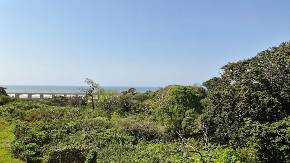 Apartment for sale in Port Shepstone, Port Shepstone - 1PSH1751143 Apartment for sale in Port Shepstone, Port Shepstone - 1PSH1751143