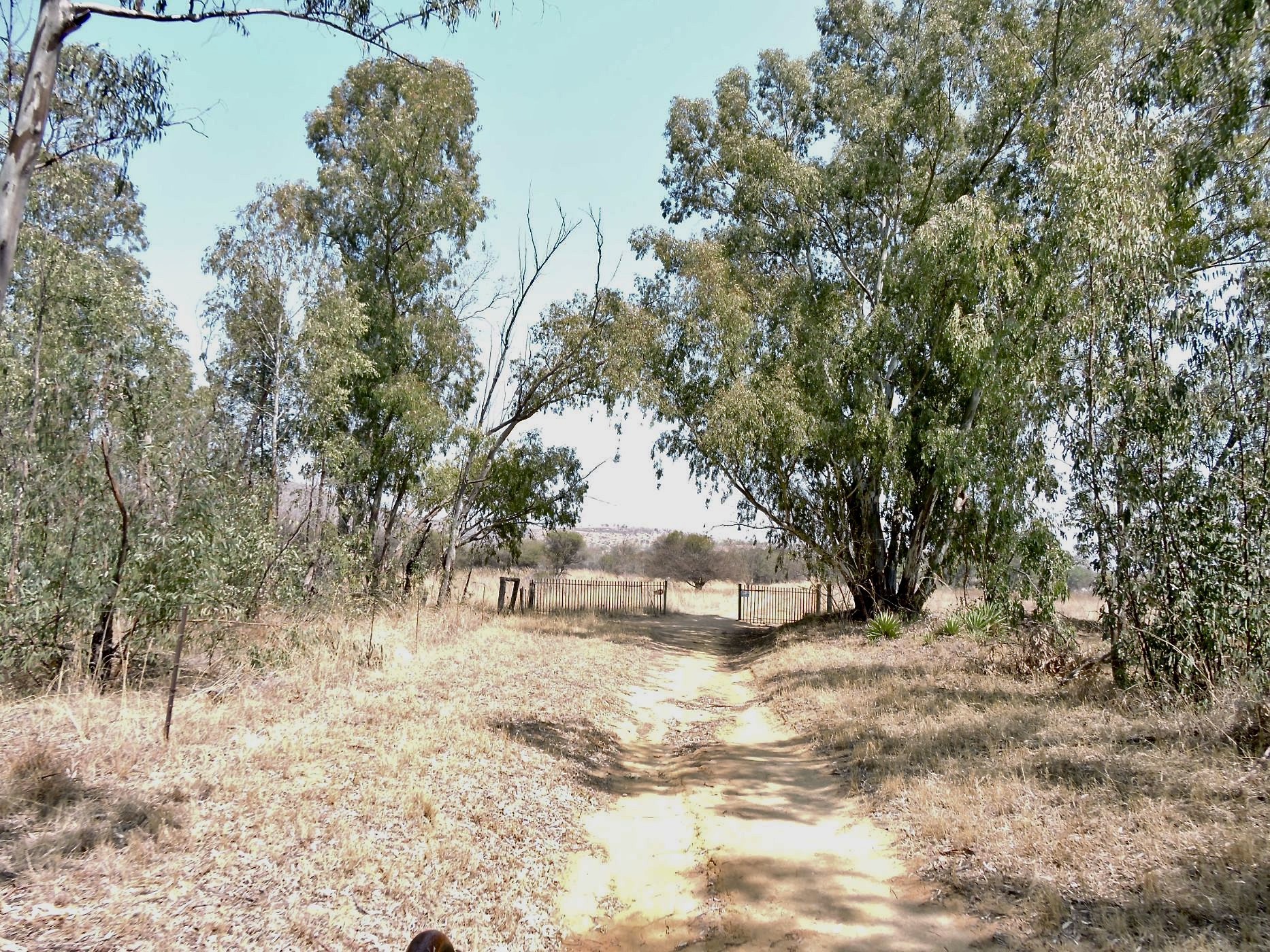 Mixed use farm for sale in Boshoek - 1RU1628461