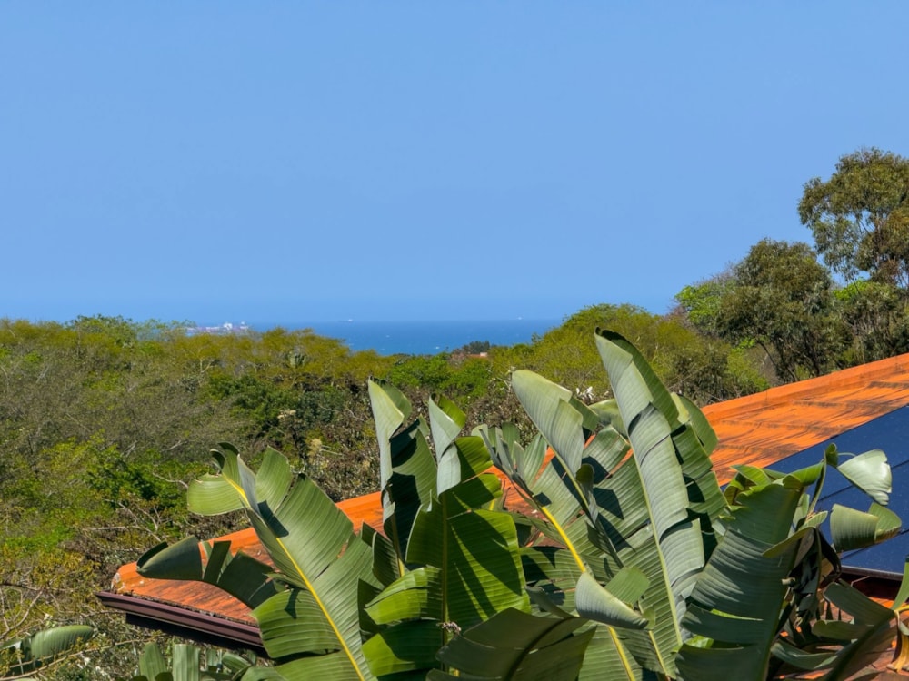 Townhouse for sale in Zimbali Estate - 1BD1752440 Townhouse for sale in Zimbali Estate - 1BD1752440