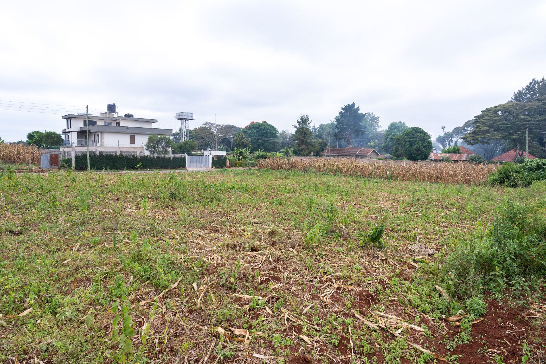Vacant land for sale in Tigoni, Kenya - 3KE1736667