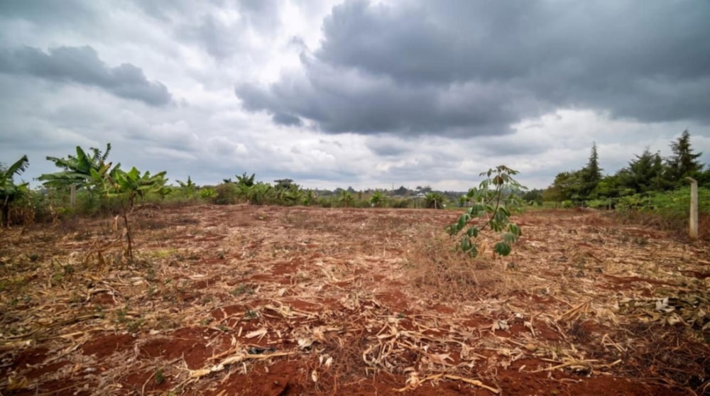 Residential vacant land for sale in Thika, Kenya - 3KE1752925 Residential vacant land for sale in Thika, Kenya - 3KE1752925
