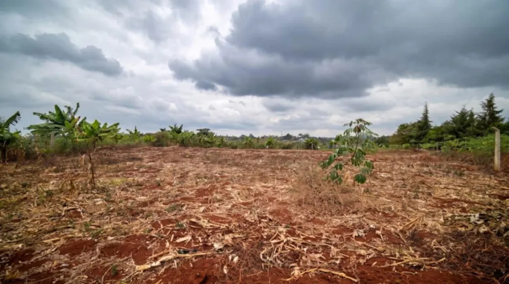 Residential vacant land for sale in Thika, Kenya - 3KE1752925 Residential vacant land for sale in Thika, Kenya - 3KE1752925