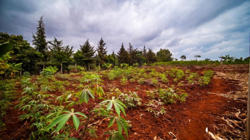 Residential vacant land for sale in Thika, Kenya - 3KE1752925 Residential vacant land for sale in Thika, Kenya - 3KE1752925