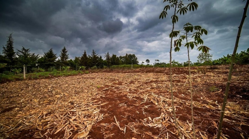 Residential vacant land for sale in Thika, Kenya - 3KE1752925 Residential vacant land for sale in Thika, Kenya - 3KE1752925