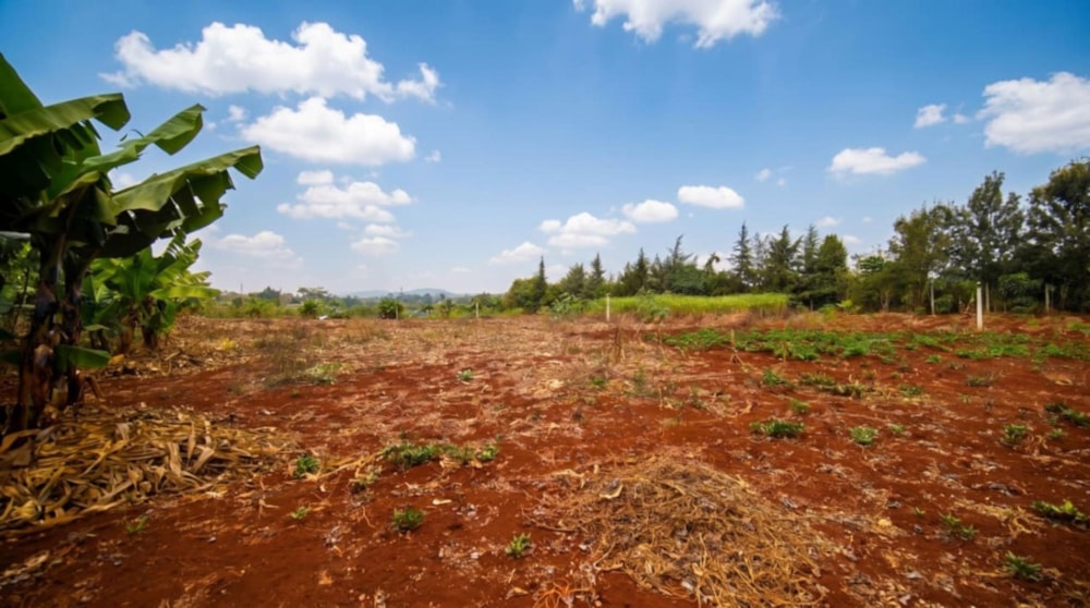 Residential vacant land for sale in Thika, Kenya - 3KE1752925 Residential vacant land for sale in Thika, Kenya - 3KE1752925