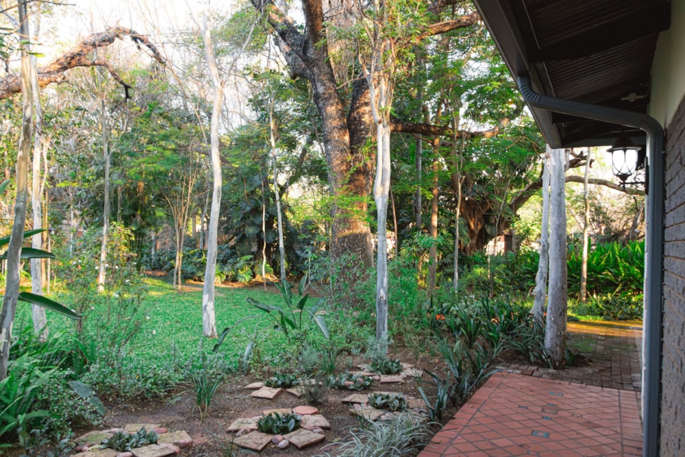 House for sale in Onverwacht, Limpopo Province - 1ER1741109 House for sale in Onverwacht, Limpopo Province - 1ER1741109