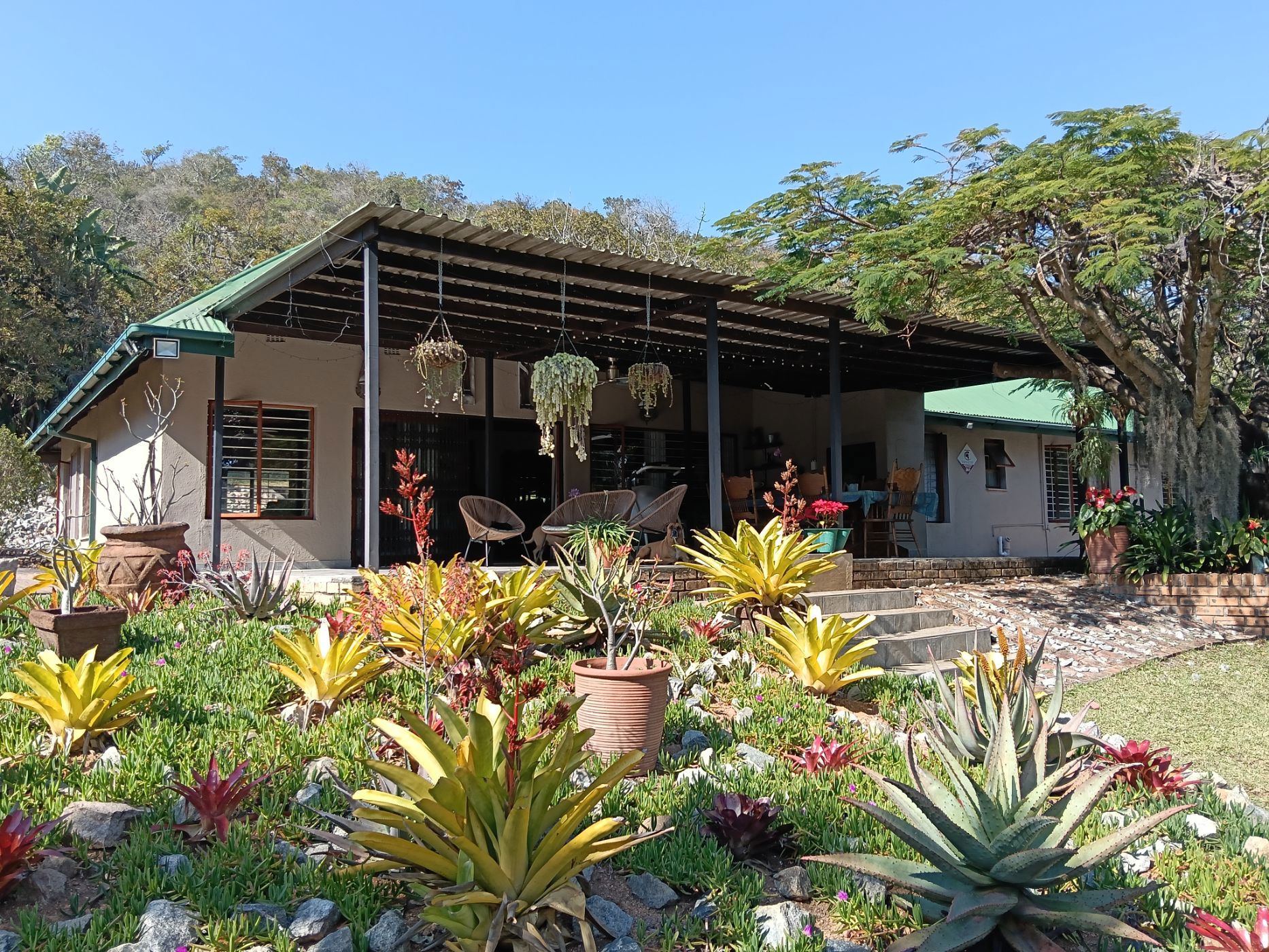 Smallholding for sale in Rhenosterkop - 1NS1750919