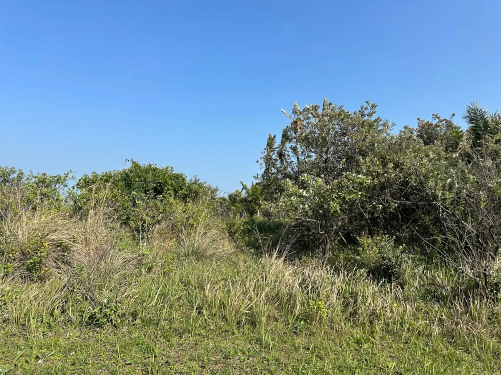 Residential vacant land for sale in Leisure Bay - 1PD1747227 Residential vacant land for sale in Leisure Bay - 1PD1747227