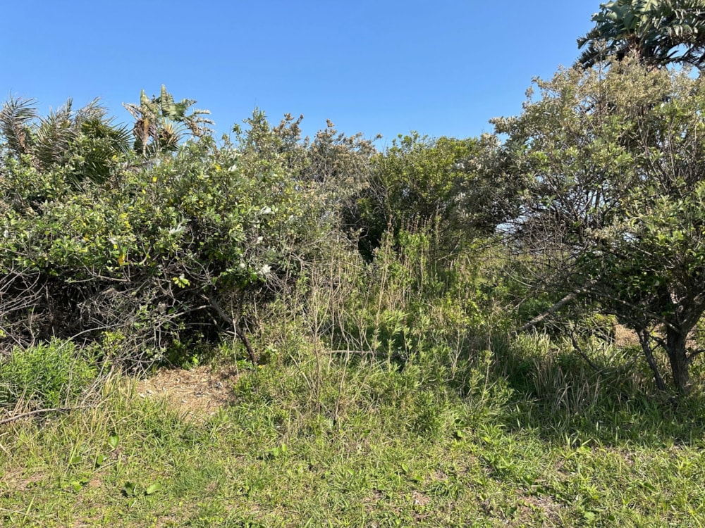 Residential vacant land for sale in Leisure Bay - 1PD1747227