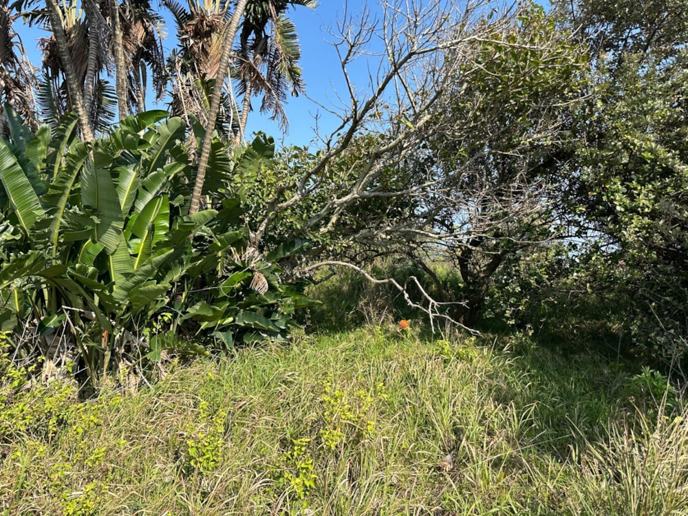 Residential vacant land for sale in Leisure Bay - 1PD1747227