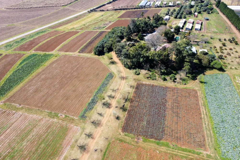 Mixed use farm for sale in Richmond, Midlands, Rural - 1PM1751131