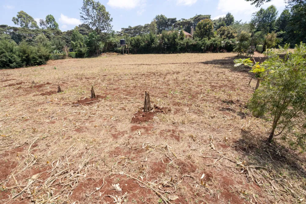 Vacant land for sale in Tigoni, Kenya - 3KE1750595 Vacant land for sale in Tigoni, Kenya - 3KE1750595