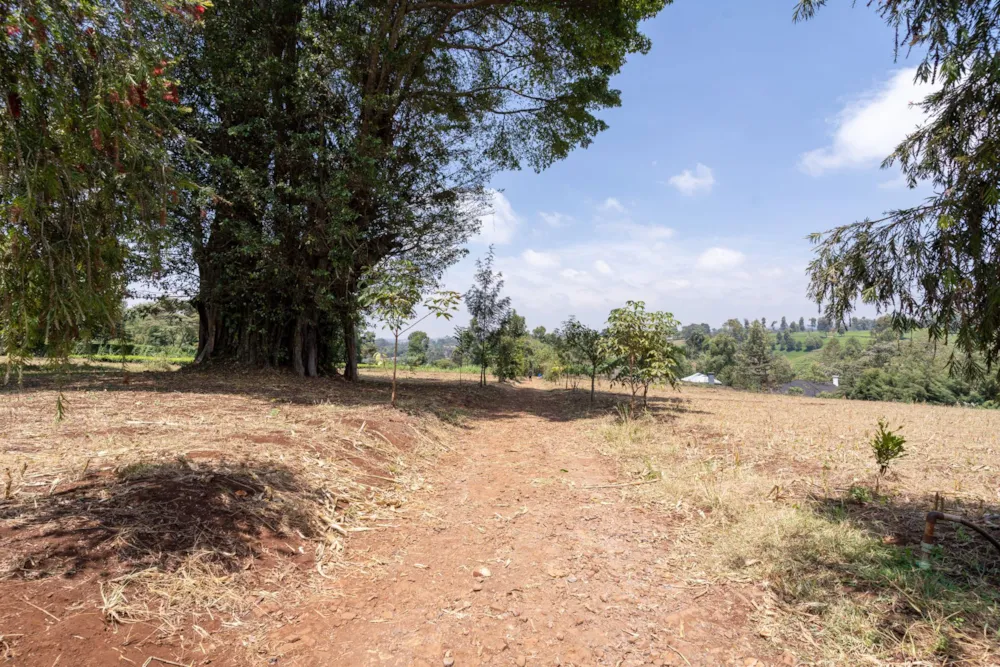 Vacant land for sale in Tigoni, Kenya - 3KE1750595 Vacant land for sale in Tigoni, Kenya - 3KE1750595