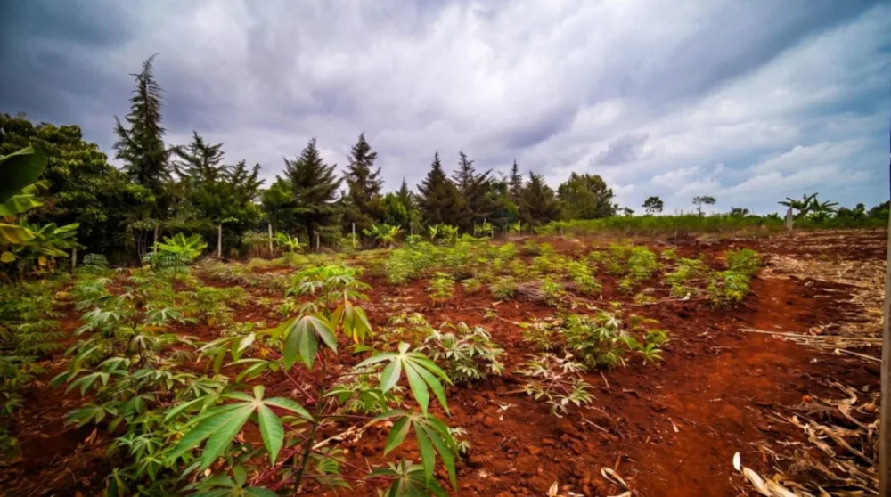 Residential vacant land for sale in Thika, Kenya - 3KE1753244 Residential vacant land for sale in Thika, Kenya - 3KE1753244
