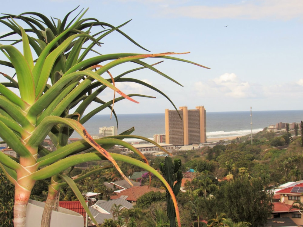 House to rent in Amanzimtoti - 1WB1752500