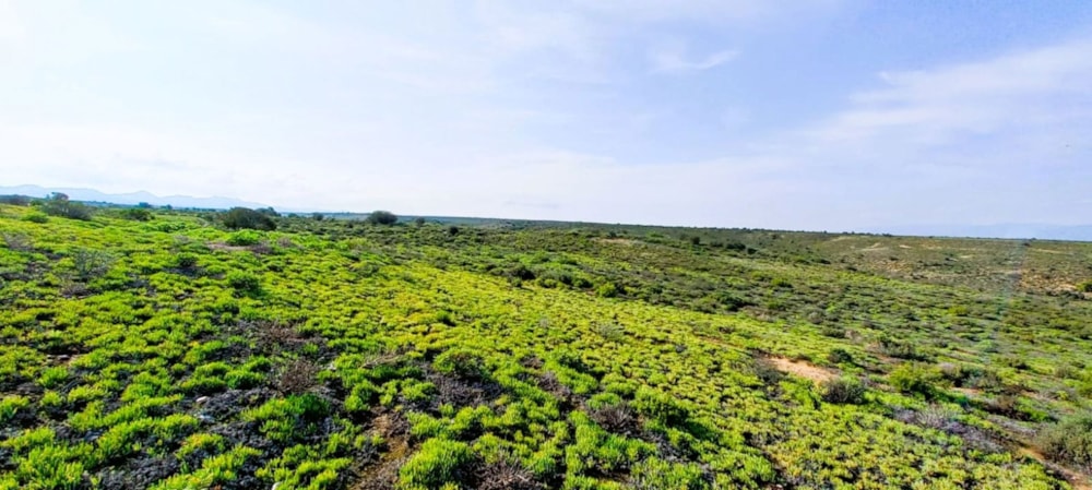 Farm vacant land for sale in Calitzdorp - 1OU1750992