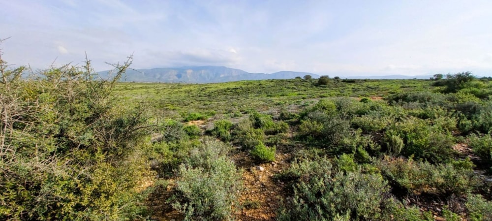 Farm vacant land for sale in Calitzdorp - 1OU1750992