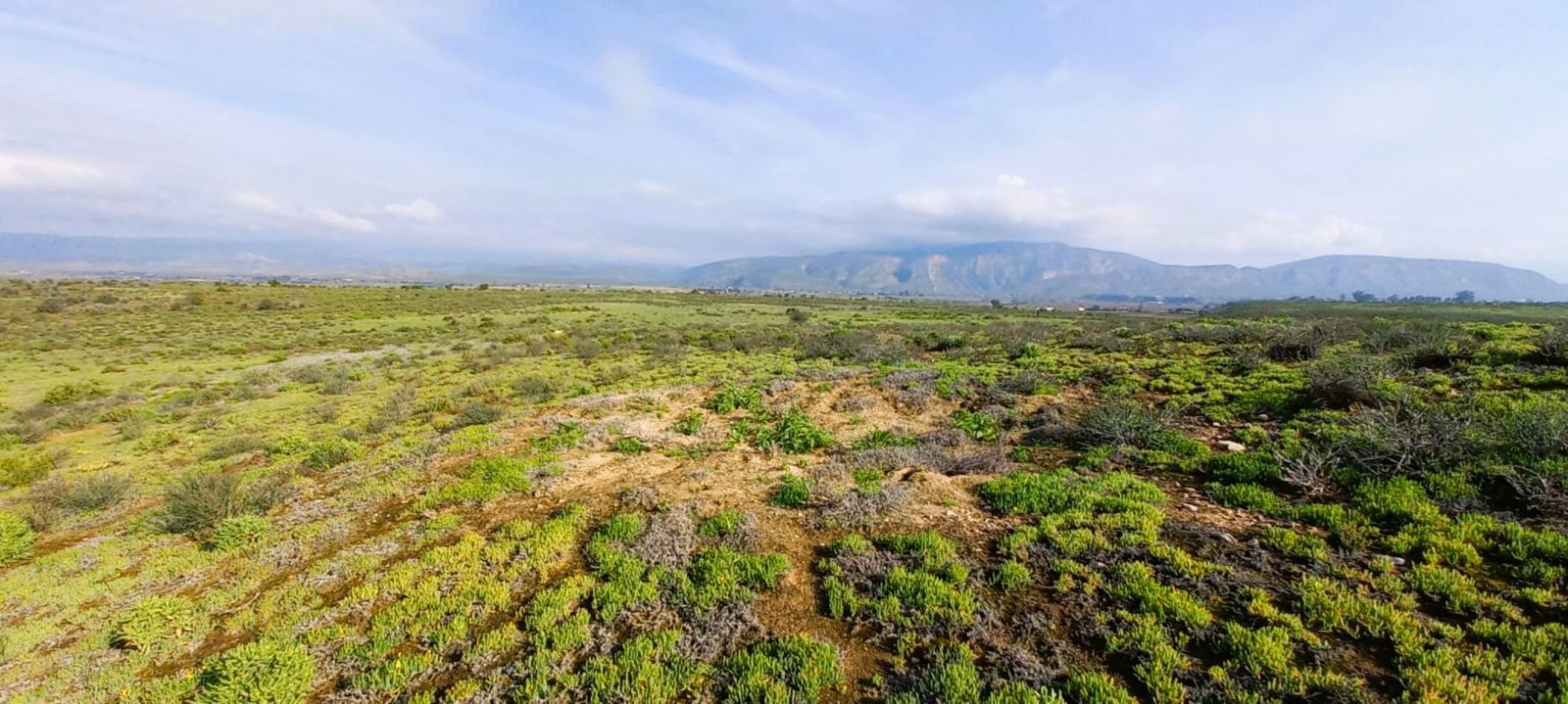 Farm vacant land for sale in Calitzdorp - 1OU1750992