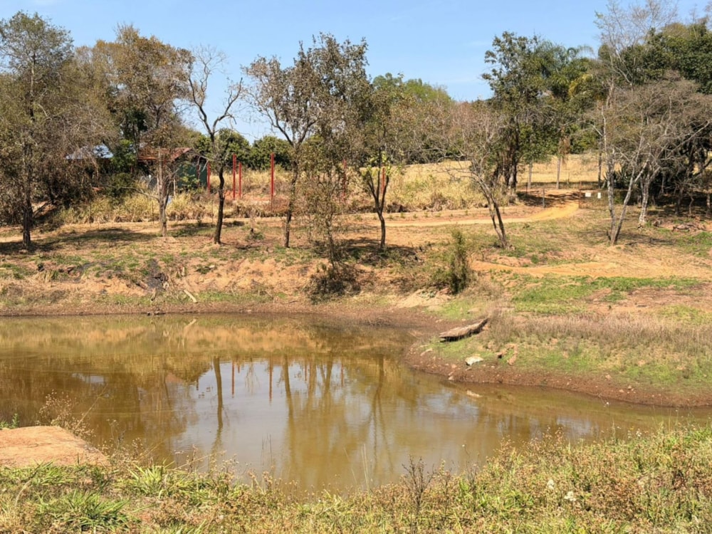 Smallholding for sale in Tzaneen, Limpopo Province - 1TA1750957