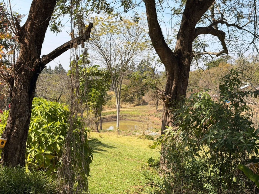 Smallholding for sale in Tzaneen, Limpopo Province - 1TA1750957