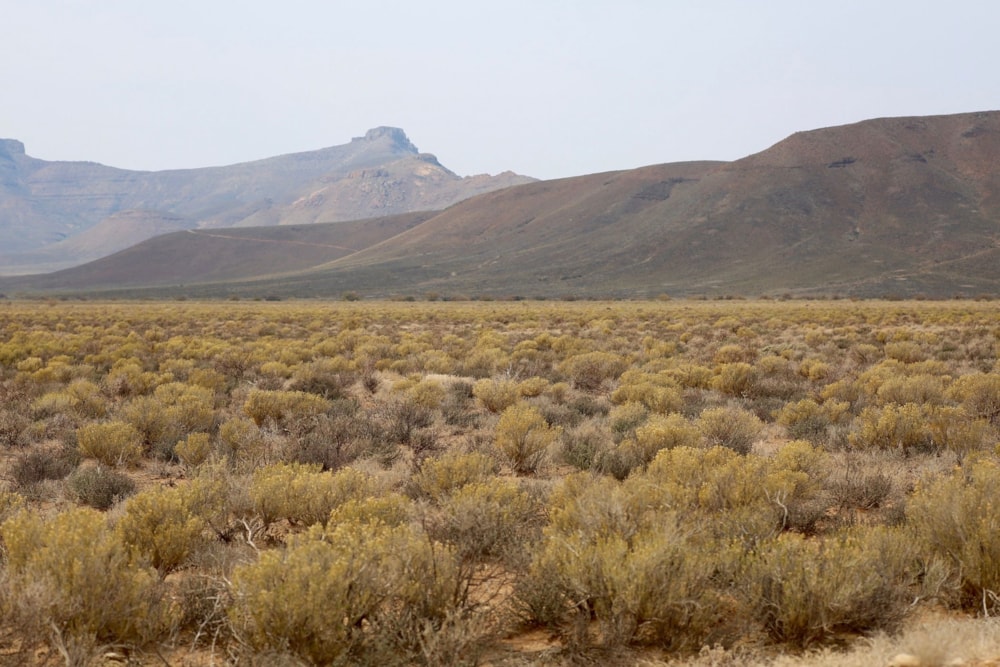 Farm vacant land for sale in Ceres - RV1751030 Farm vacant land for sale in Ceres - RV1751030