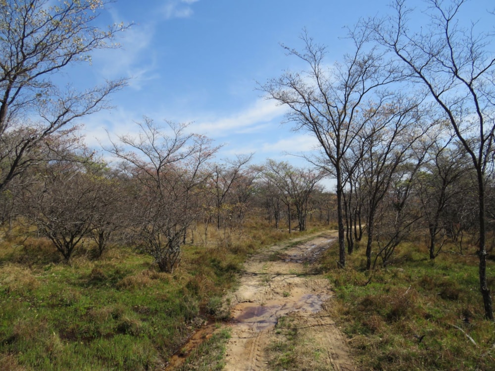 Game farm for sale in Lephalale Rural - 1ER1751093