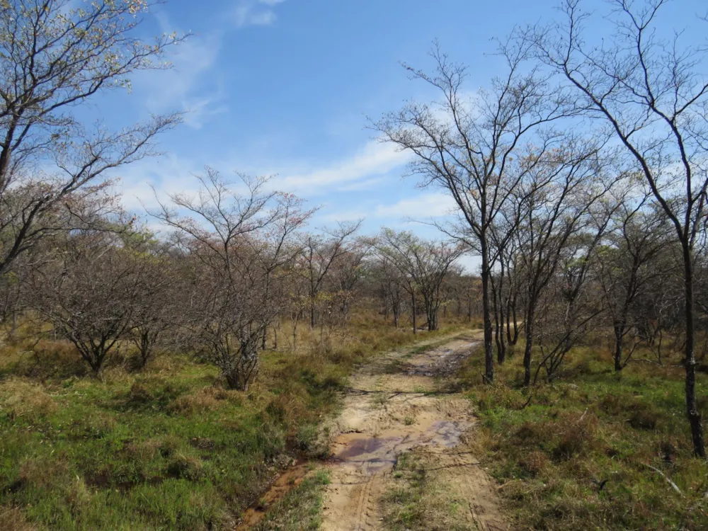 Game farm for sale in Lephalale Rural - 1ER1751093 Game farm for sale in Lephalale Rural - 1ER1751093