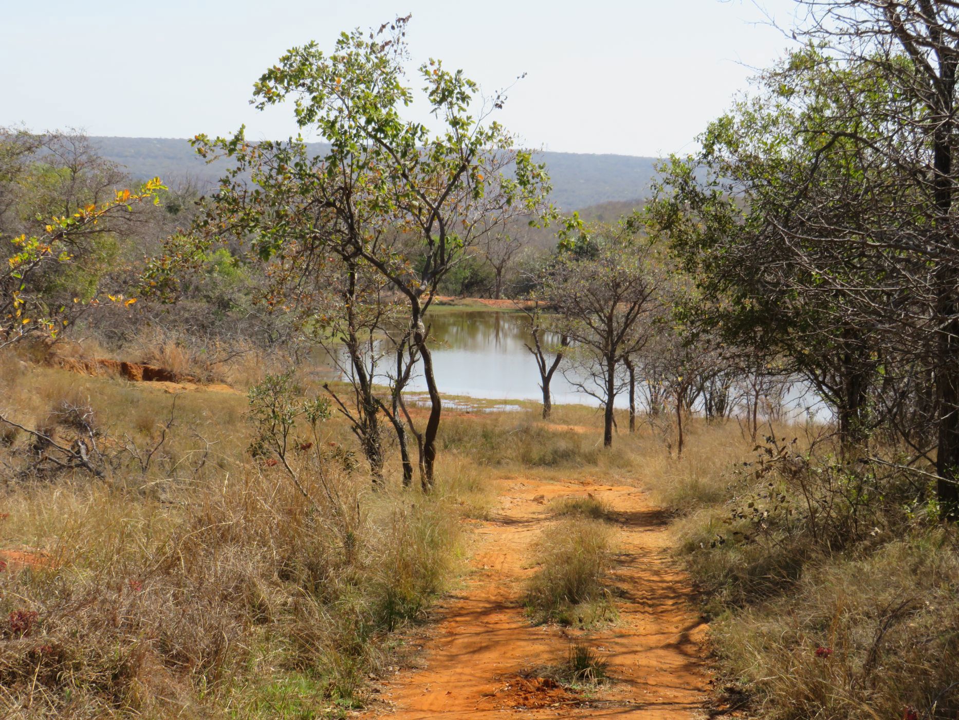 Game farm for sale in Lephalale Rural - 1ER1751093