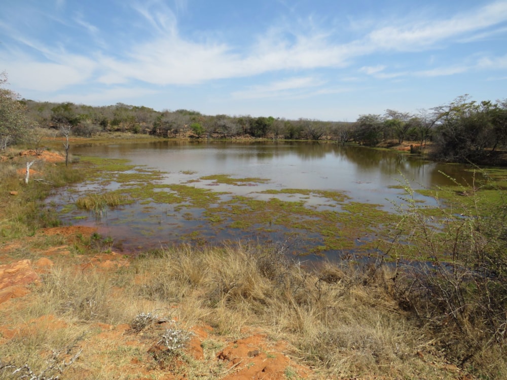 Game farm for sale in Lephalale Rural - 1ER1751093