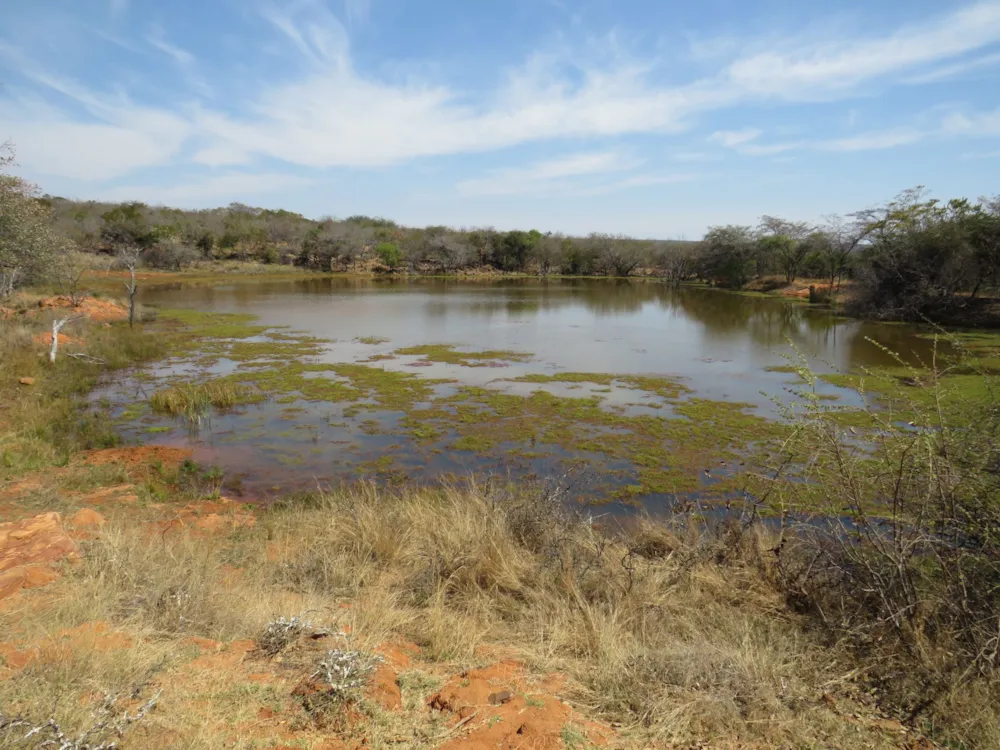 Game farm for sale in Lephalale Rural - 1ER1751093 Game farm for sale in Lephalale Rural - 1ER1751093