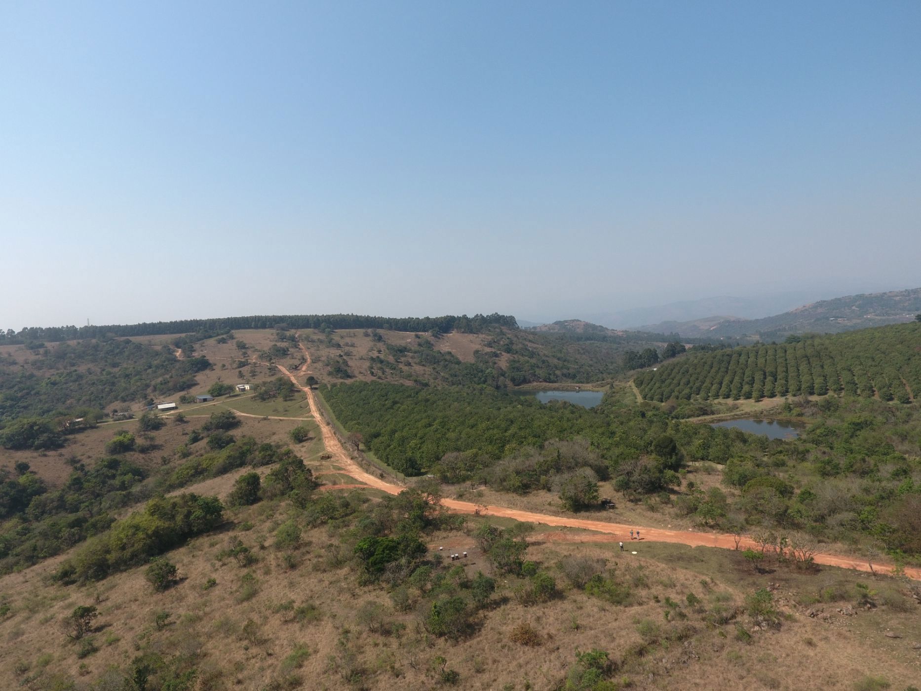 Nut farm for sale in Mbombela Rural (Nelspruit Rural) - 1NK1753023