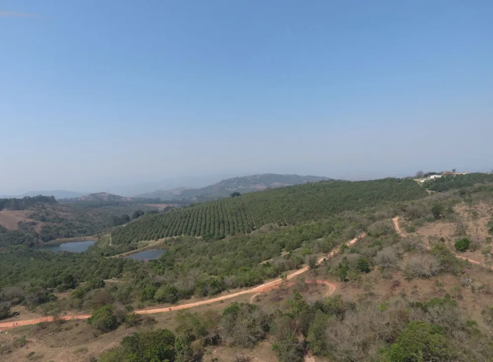 Nut farm for sale in Mbombela Rural (Nelspruit Rural) - 1NK1753023