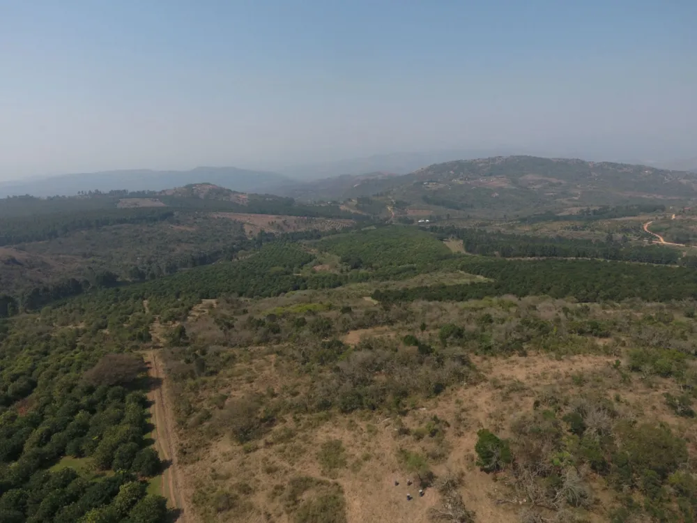 Nut farm for sale in Mbombela Rural (Nelspruit Rural) - 1NK1753023