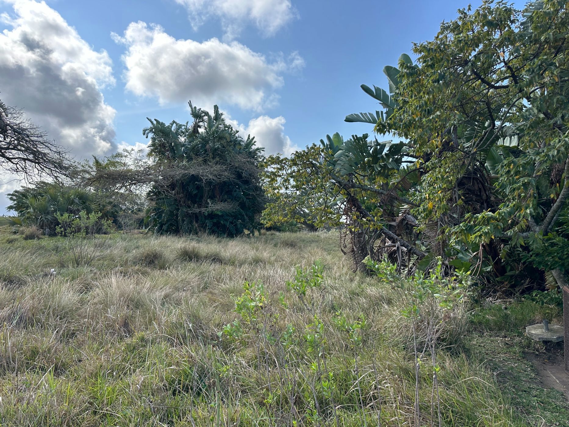 Residential vacant land for sale in San Lameer - 1PD1751166