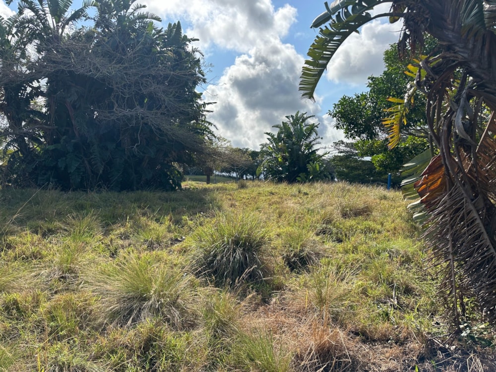 Residential vacant land for sale in San Lameer - 1PD1751166 Residential vacant land for sale in San Lameer - 1PD1751166
