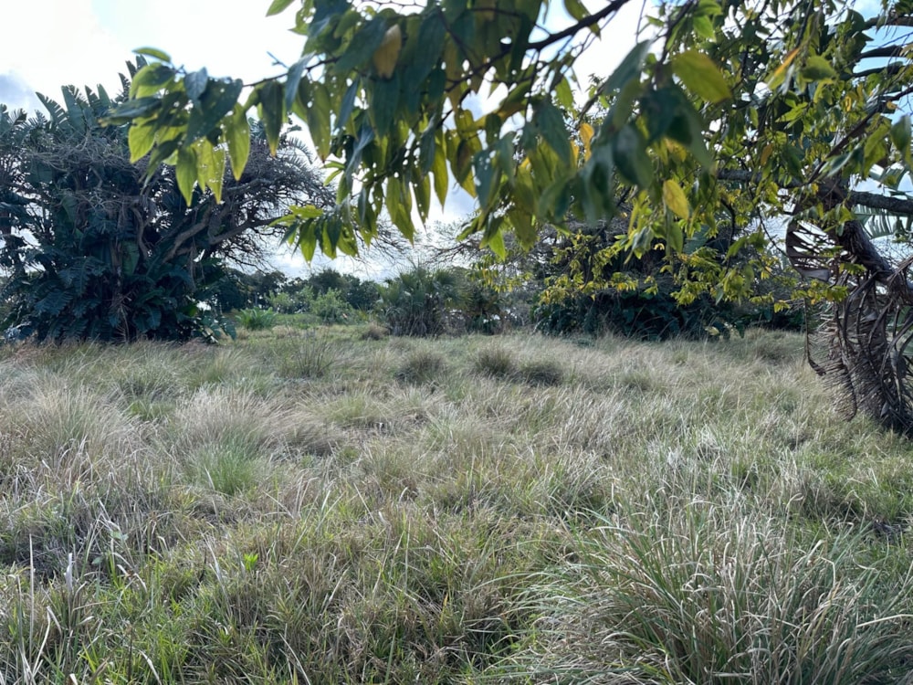 Residential vacant land for sale in San Lameer - 1PD1751166 Residential vacant land for sale in San Lameer - 1PD1751166