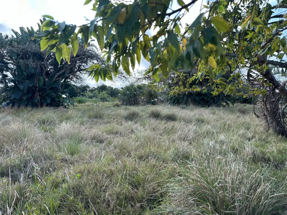 Residential vacant land for sale in San Lameer - 1PD1751166 Residential vacant land for sale in San Lameer - 1PD1751166