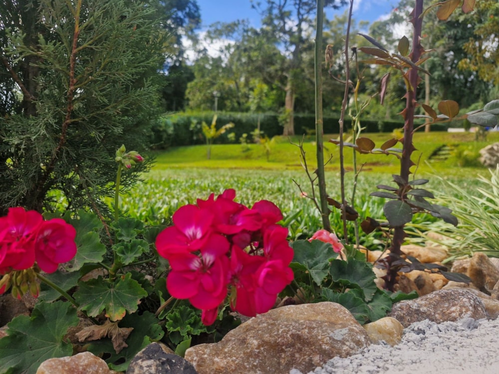 Townhouse for sale in Karen, Kenya - 3KE1751176 Townhouse for sale in Karen, Kenya - 3KE1751176