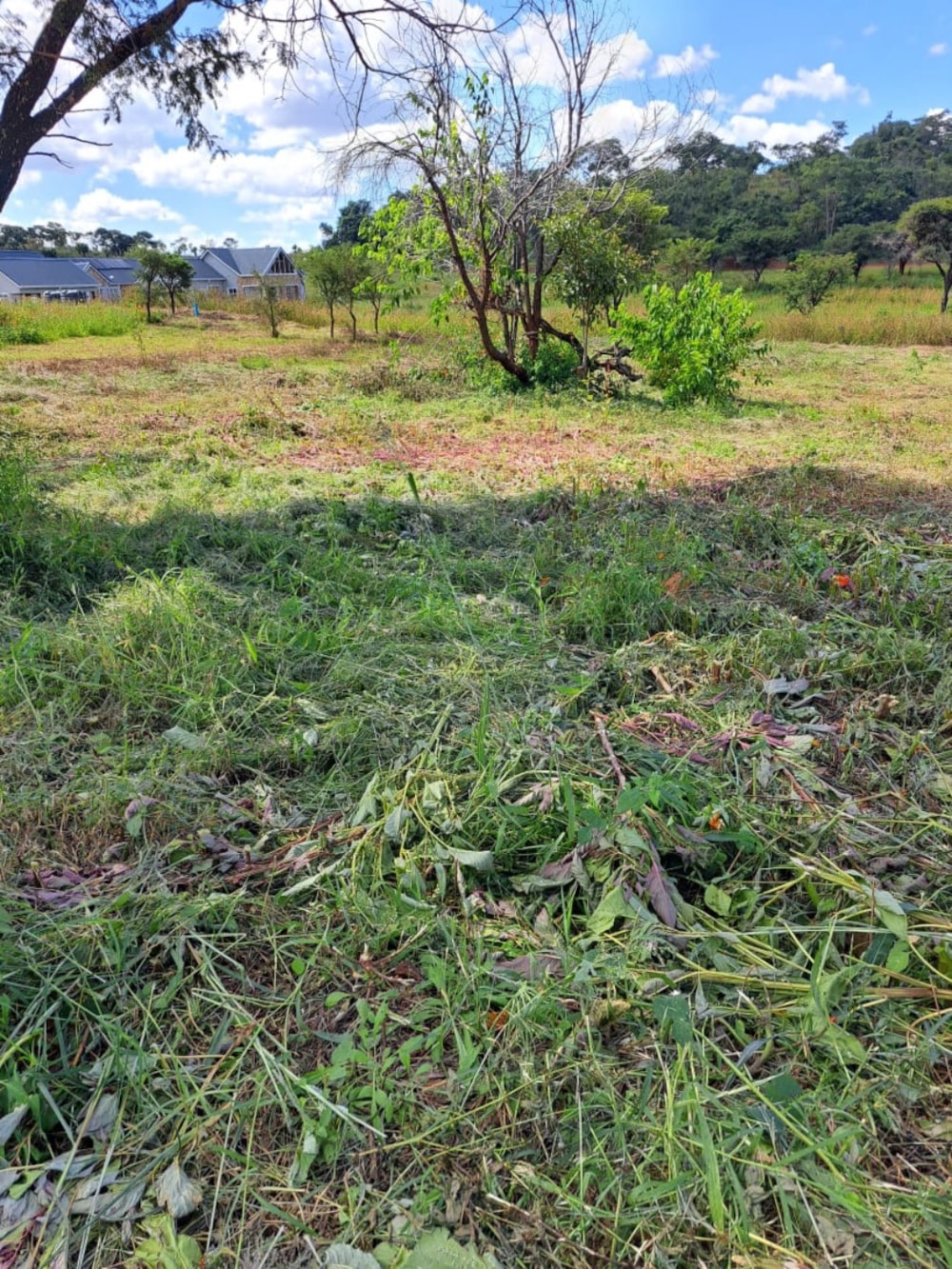 Vacant land for sale in Borrowdale Brooke, Zimbabwe - 3ZB1751204 Vacant land for sale in Borrowdale Brooke, Zimbabwe - 3ZB1751204