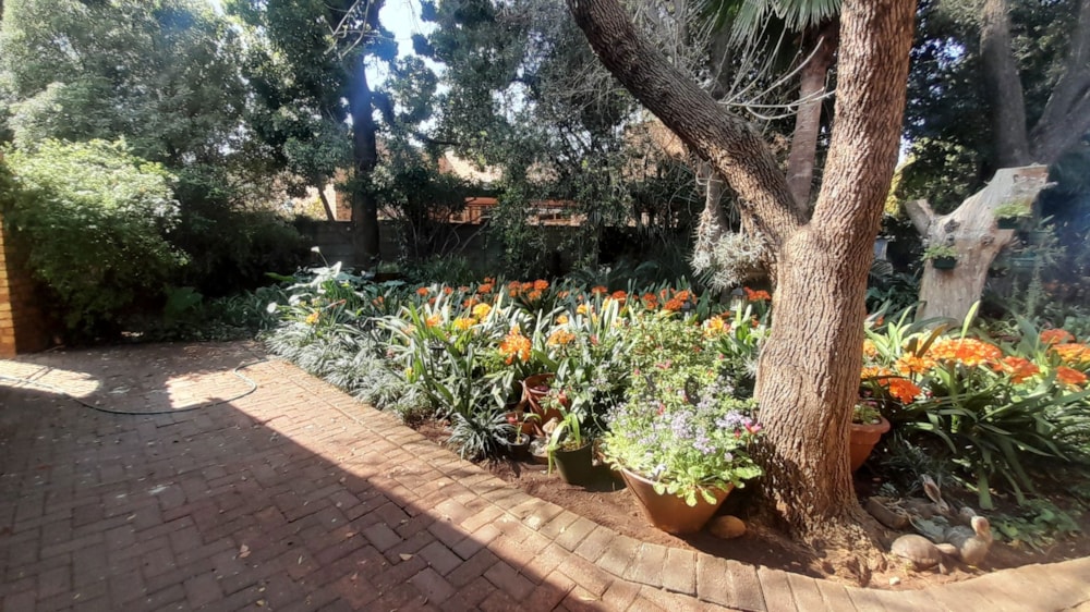 House for sale in Vanderbijlpark SE 3 - 1VT1751248 House for sale in Vanderbijlpark SE 3 - 1VT1751248