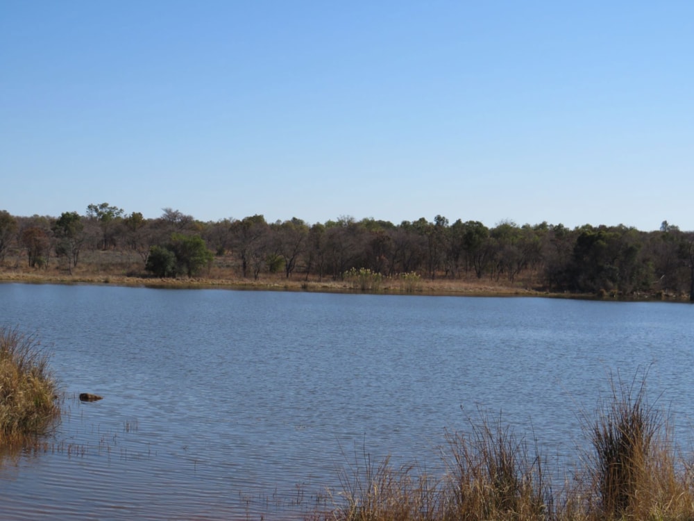 Game farm for sale in Ellisras (Lephalale) - 1ER1751259