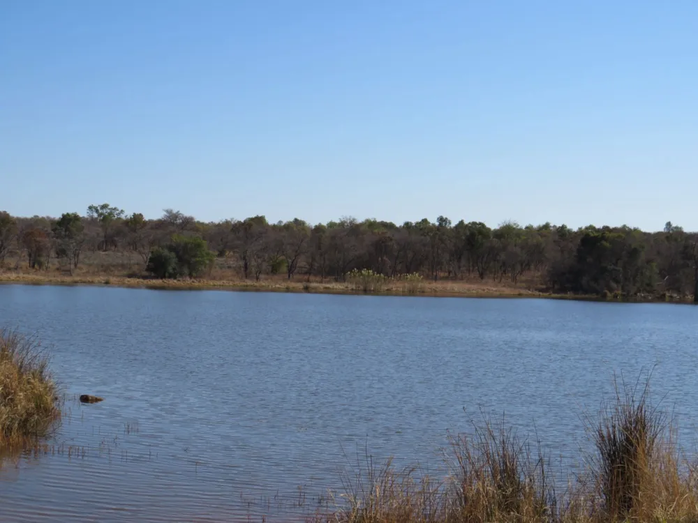 Game farm for sale in Ellisras (Lephalale) - 1ER1751259 Game farm for sale in Ellisras (Lephalale) - 1ER1751259