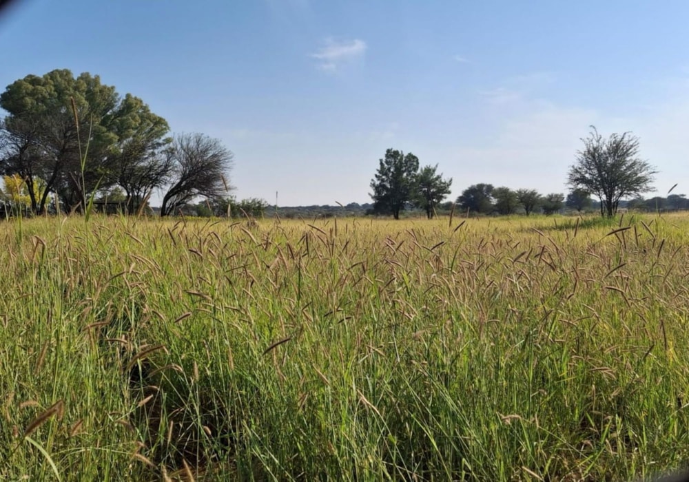 Livestock farm for sale in Louwna - 1RN1752180