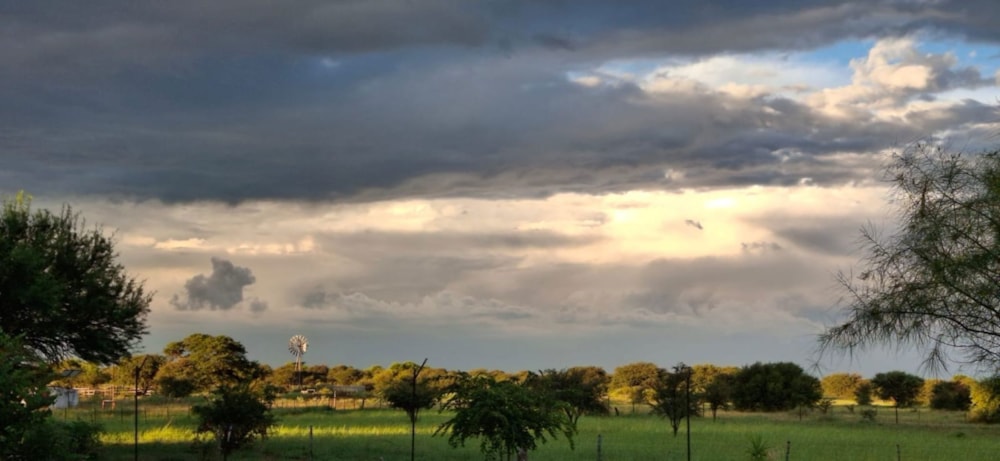 Livestock farm for sale in Louwna - 1RN1752180