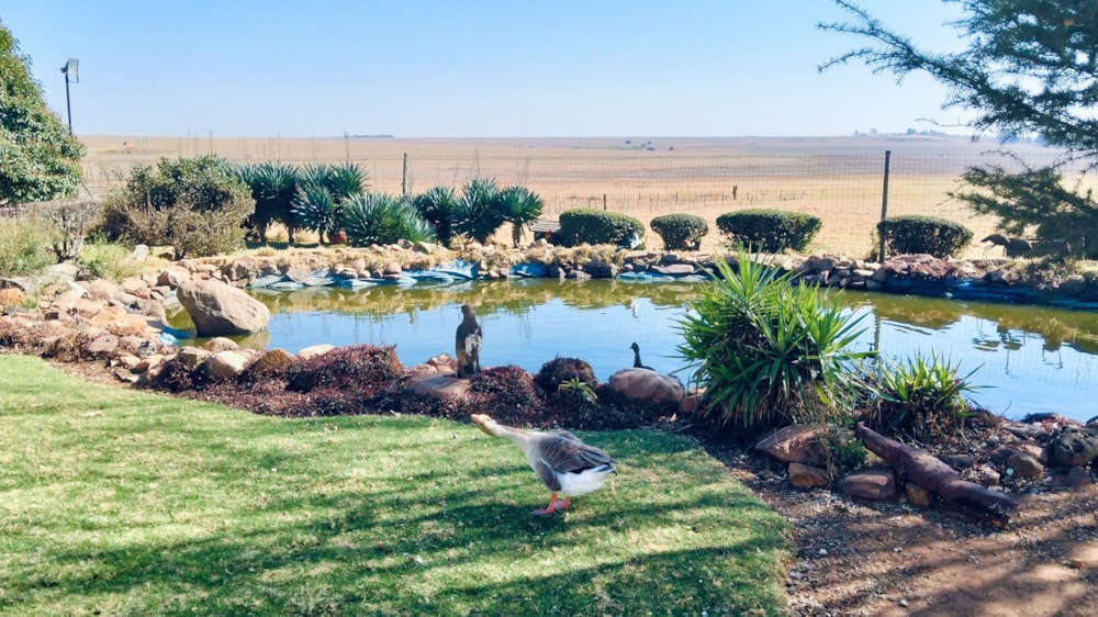Livestock farm for sale in Bronkhorstspruit Rural - PRN1751562